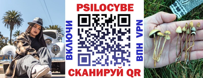 как найти закладки  ссылка на мегу ССЫЛКА  Псилоцибиновые грибы Magic Shrooms  Уварово 